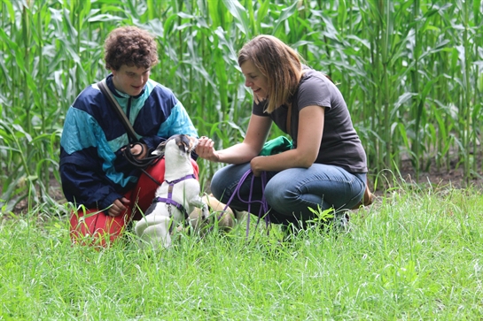 Een zorggast speelt samen met een hondje aan het maïsveld